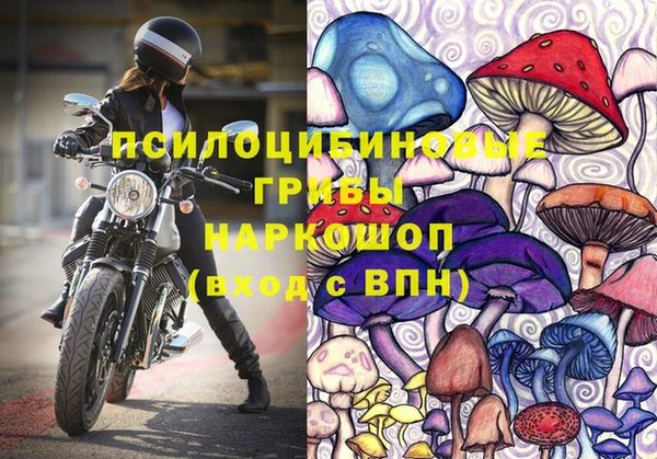 соль ск Алексеевка